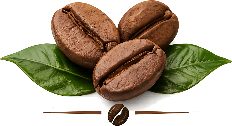 deWA Koffie