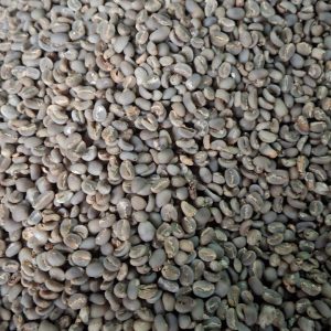 Green Bean Arabica Toraja Asallan defect 15-18% 1 Kg