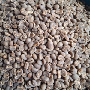 Green Bean Arabica South Sulawesi defect 7-8% 1 Kg